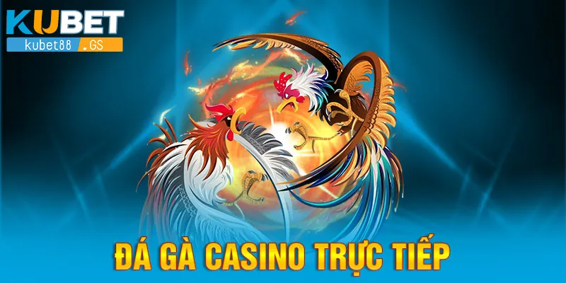 đá gà casino trực tiếp