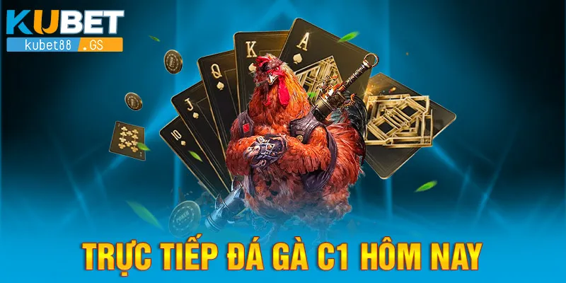 trực tiếp đá gà c1 hôm nay